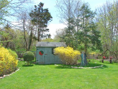 Yin and yang by the toolshed in Barnstable, Cummaquid Mid Cape Cod