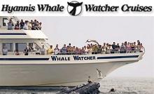 /images/advert/1098_3_hyannis-whale-watchers-barnstable.jpg