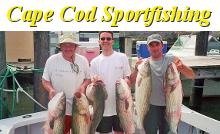 /images/advert/2033_3_cape-cod-sportfishing-hyannis.jpg