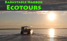 /images/advert/2234_3_barnstable-harbor-ecotours.jpg