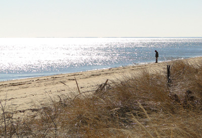 Winter-walks-on-Crosby-beach-Brewster-Cape-Cod-742.jpg