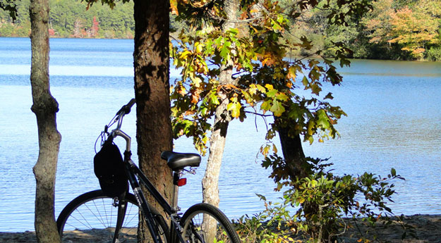 Biking to Cliff Pond at Nickerson State Park