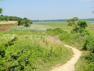 hiking at fort hill, eastham, cape cod