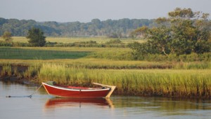 Along the Herring River, Harwich, Cape Cod