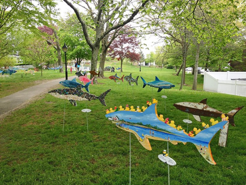 Sharks in the Park - Chatham, Cape Cod