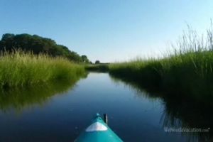 Kayaking through the salt marshes of Cape Cod