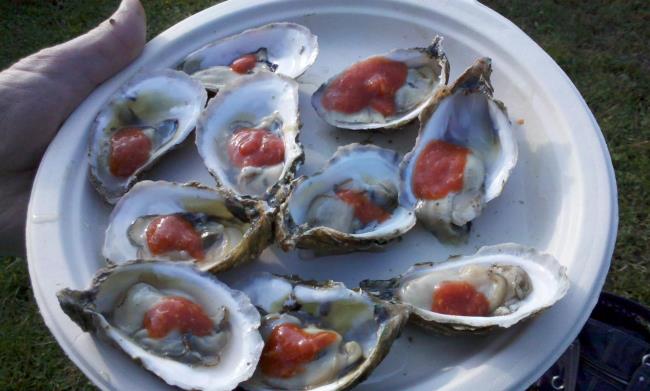 Enjoy Wellfleet Oysters at the Oysterfest